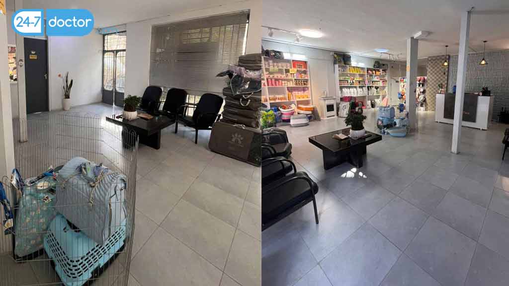 کلینیک دامپزشکی تینا