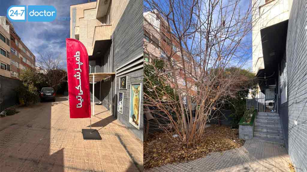 کلینیک دامپزشکی تینا