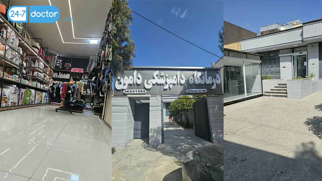 درمانگاه دامپزشکی دامون در شیراز